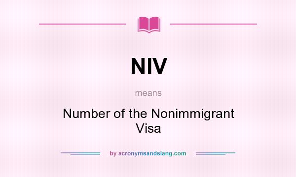 What does NIV mean? It stands for Number of the Nonimmigrant Visa