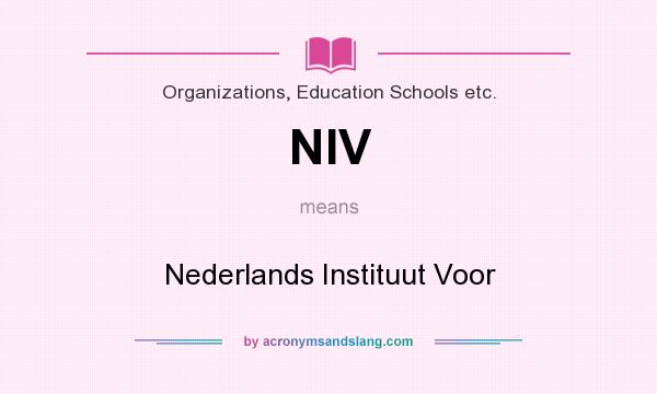 What does NIV mean? It stands for Nederlands Instituut Voor