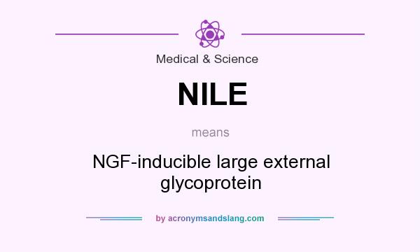 What does NILE mean? It stands for NGF-inducible large external glycoprotein