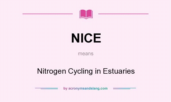 What does NICE mean? It stands for Nitrogen Cycling in Estuaries
