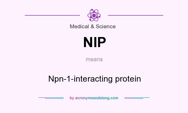 What does NIP mean? It stands for Npn-1-interacting protein