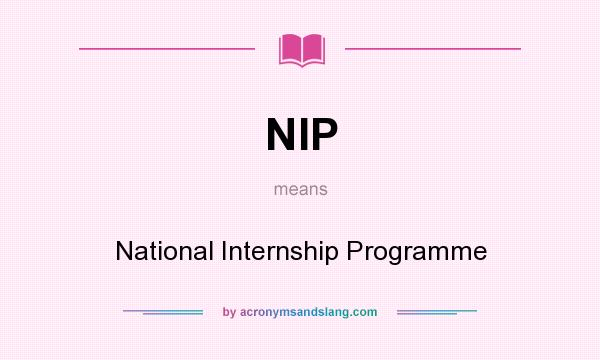 What does NIP mean? It stands for National Internship Programme