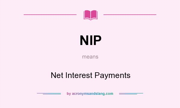 What does NIP mean? It stands for Net Interest Payments