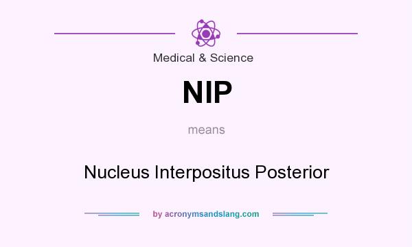 What does NIP mean? It stands for Nucleus Interpositus Posterior