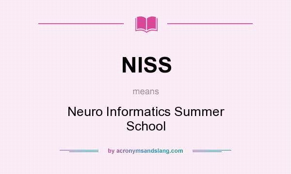 What does NISS mean? It stands for Neuro Informatics Summer School
