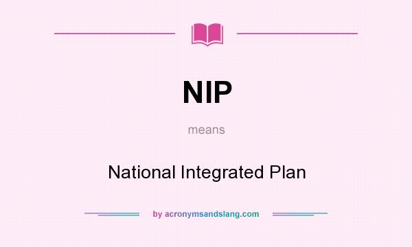 What does NIP mean? It stands for National Integrated Plan