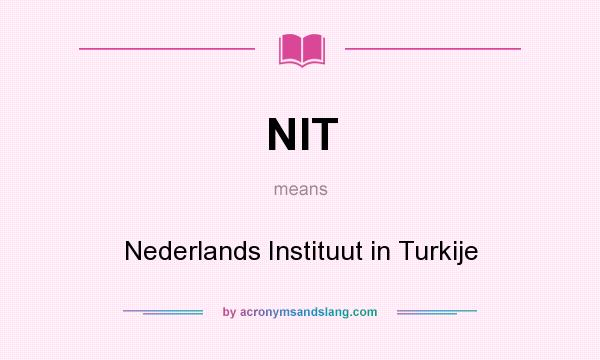 What does NIT mean? It stands for Nederlands Instituut in Turkije
