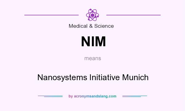 What does NIM mean? It stands for Nanosystems Initiative Munich