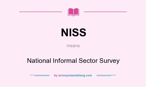 What does NISS mean? It stands for National Informal Sector Survey