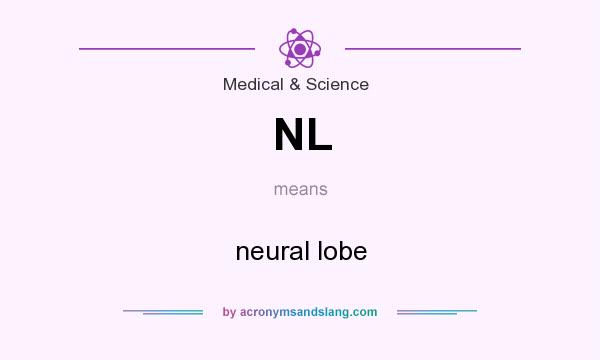 What does NL mean? It stands for neural lobe