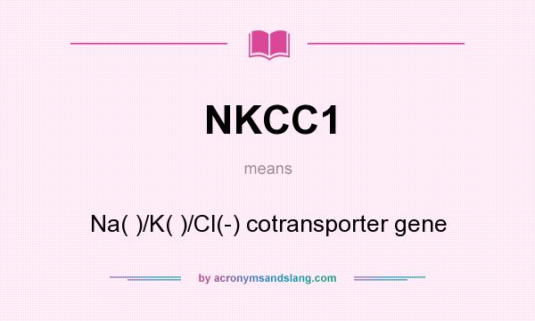 What does NKCC1 mean? It stands for Na( )/K( )/Cl(-) cotransporter gene