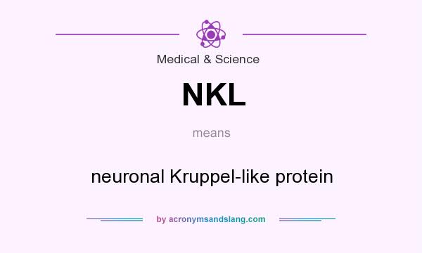 What does NKL mean? It stands for neuronal Kruppel-like protein