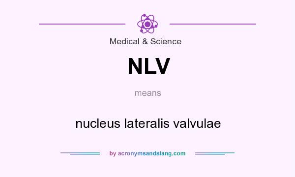 What does NLV mean? It stands for nucleus lateralis valvulae