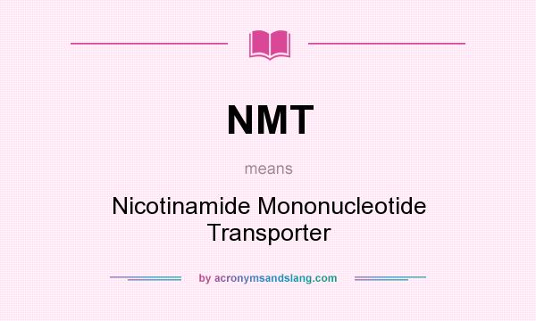 What does NMT mean? It stands for Nicotinamide Mononucleotide Transporter