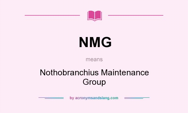 What does NMG mean? It stands for Nothobranchius Maintenance Group