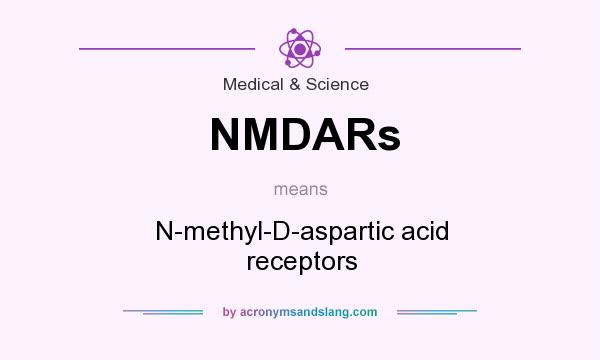 What does NMDARs mean? It stands for N-methyl-D-aspartic acid receptors
