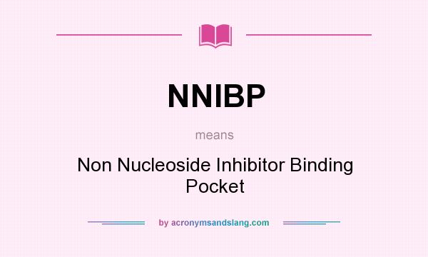 What does NNIBP mean? It stands for Non Nucleoside Inhibitor Binding Pocket