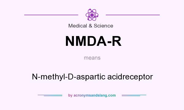 What does NMDA-R mean? It stands for N-methyl-D-aspartic acidreceptor