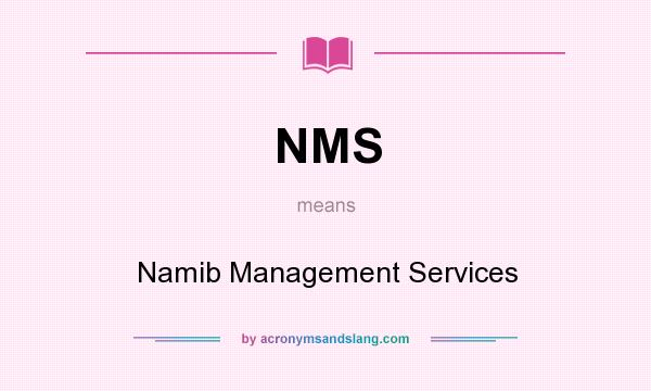 What does NMS mean? It stands for Namib Management Services