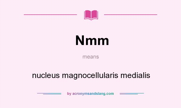 What does Nmm mean? It stands for nucleus magnocellularis medialis