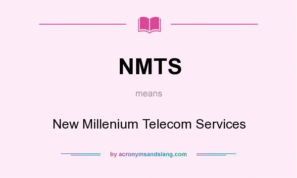 What does NMTS mean? It stands for New Millenium Telecom Services