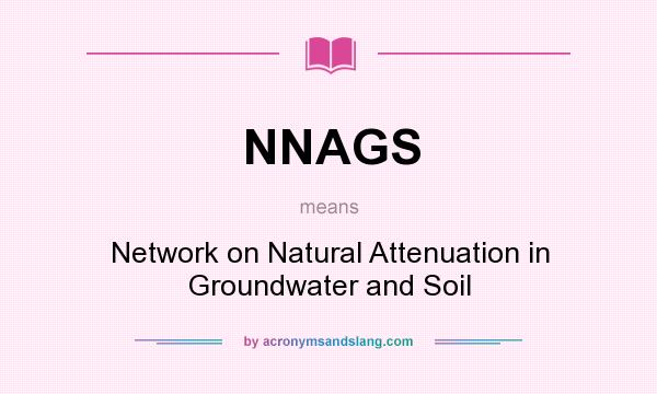 What does NNAGS mean? It stands for Network on Natural Attenuation in Groundwater and Soil