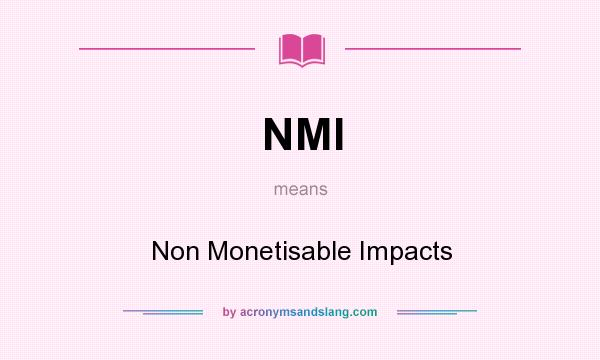 What does NMI mean? It stands for Non Monetisable Impacts