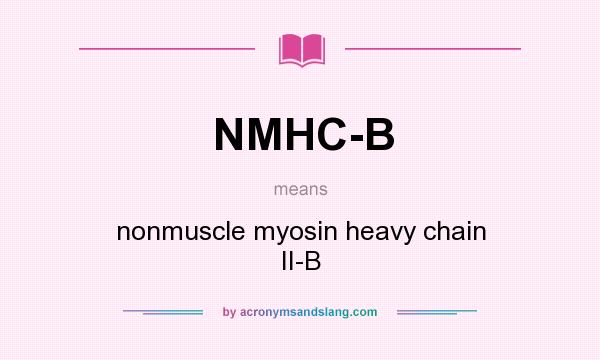 What does NMHC-B mean? It stands for nonmuscle myosin heavy chain II-B