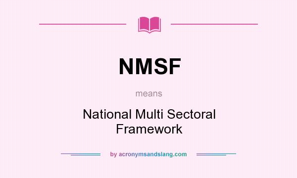 What does NMSF mean? It stands for National Multi Sectoral Framework