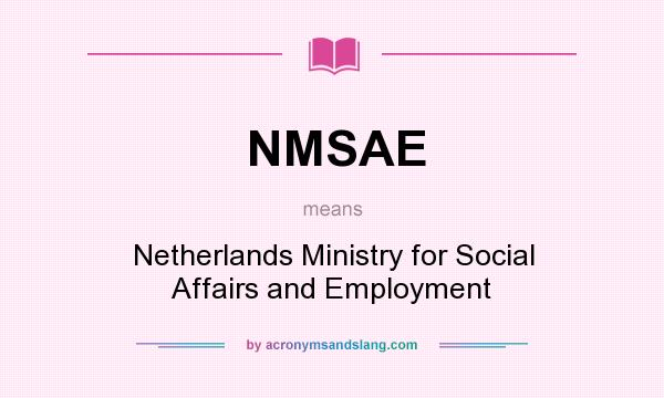 What does NMSAE mean? It stands for Netherlands Ministry for Social Affairs and Employment