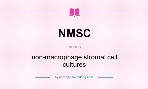 What does NMSC mean? It stands for non-macrophage stromal cell cultures