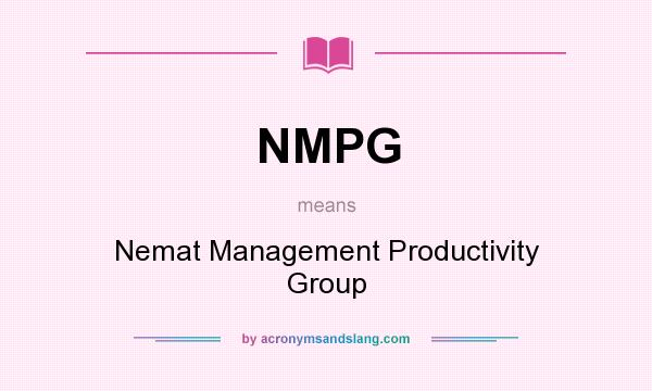 What does NMPG mean? It stands for Nemat Management Productivity Group