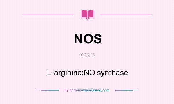 What does NOS mean? It stands for L-arginine:NO synthase