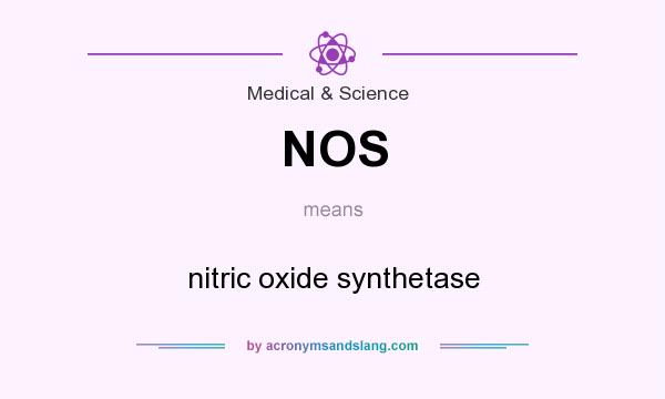 What does NOS mean? It stands for nitric oxide synthetase