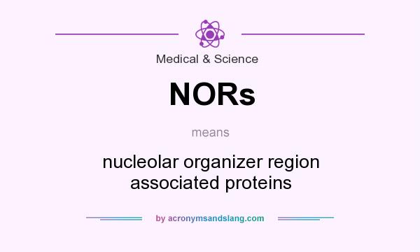 What does NORs mean? It stands for nucleolar organizer region associated proteins
