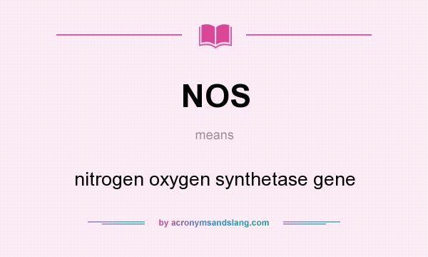 What does NOS mean? It stands for nitrogen oxygen synthetase gene