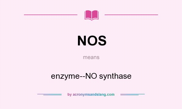 What does NOS mean? It stands for enzyme--NO synthase