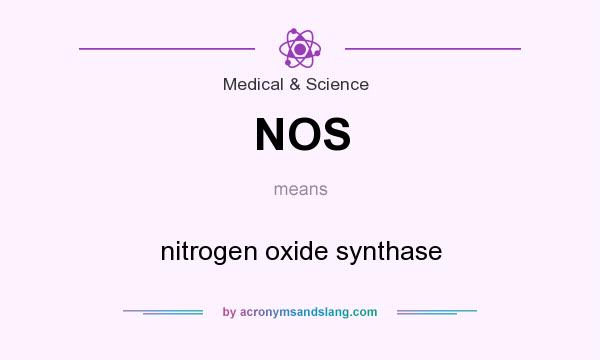 What does NOS mean? It stands for nitrogen oxide synthase
