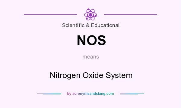What does NOS mean? It stands for Nitrogen Oxide System