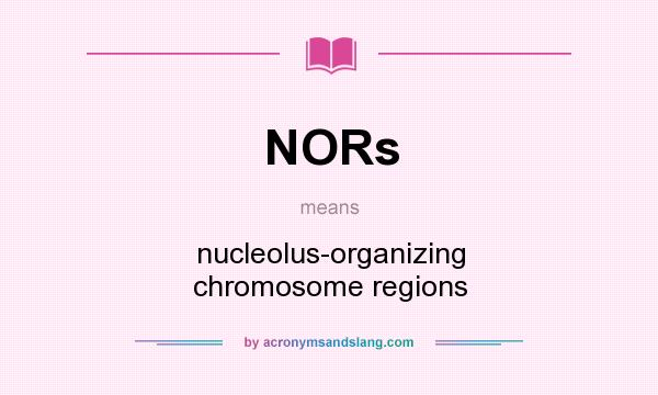 What does NORs mean? It stands for nucleolus-organizing chromosome regions
