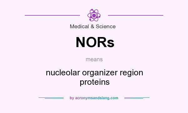 What does NORs mean? It stands for nucleolar organizer region proteins