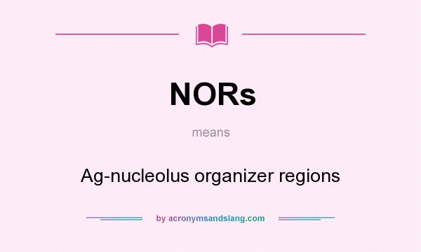 What does NORs mean? It stands for Ag-nucleolus organizer regions