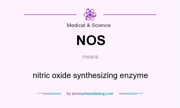 What does NOS mean? It stands for nitric oxide synthesizing enzyme