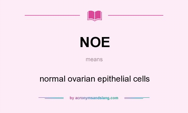 What does NOE mean? It stands for normal ovarian epithelial cells