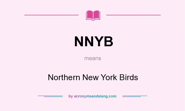 What does NNYB mean? It stands for Northern New York Birds