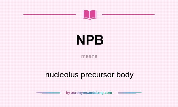What does NPB mean? It stands for nucleolus precursor body