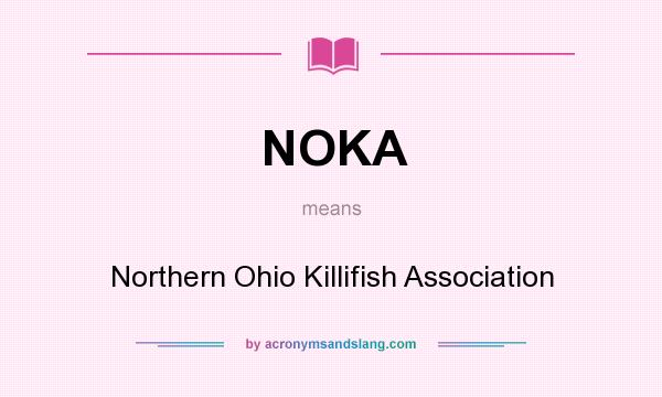What does NOKA mean? It stands for Northern Ohio Killifish Association