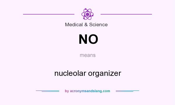 What does NO mean? It stands for nucleolar organizer