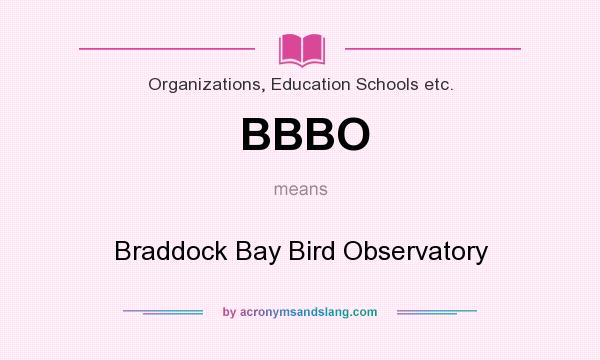What does BBBO mean? It stands for Braddock Bay Bird Observatory