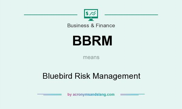 What does BBRM mean? It stands for Bluebird Risk Management